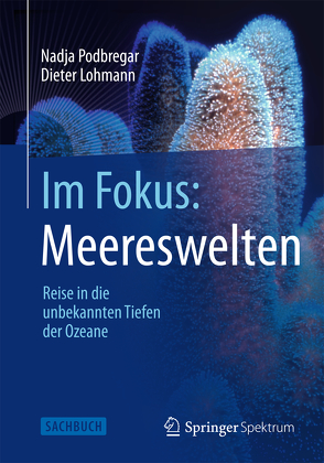 Im Fokus: Meereswelten von Lohmann,  Dieter, Podbregar,  Nadja