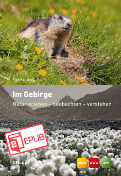 Im Gebirge von Joss,  Sabine