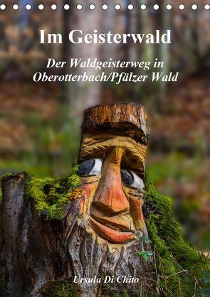 Im Geisterwald – Der Waldgeisterweg in Oberotterbach / Pfälzer Wald (Tischkalender 2020 DIN A5 hoch) von Di Chito,  Ursula