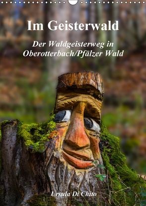 Im Geisterwald – Der Waldgeisterweg in Oberotterbach / Pfälzer Wald (Wandkalender 2018 DIN A3 hoch) von Di Chito,  Ursula