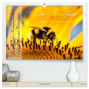 Im Goldenen Glanz der Sonnenblume (hochwertiger Premium Wandkalender 2024 DIN A2 quer), Kunstdruck in Hochglanz von Danica Krunic,  Dr.