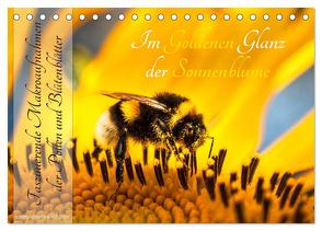 Im Goldenen Glanz der Sonnenblume (Tischkalender 2024 DIN A5 quer), CALVENDO Monatskalender von Danica Krunic,  Dr.