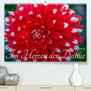 Im Herzen der Dahlie (hochwertiger Premium Wandkalender 2024 DIN A2 quer), Kunstdruck in Hochglanz von und Giuseppe Di Domenico,  Jane