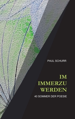 IM IMMERZU WERDEN von Schurr,  Paul