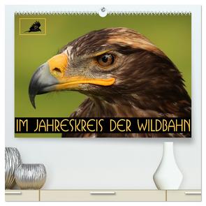 Im Jahreskreis der Wildbahn (hochwertiger Premium Wandkalender 2024 DIN A2 quer), Kunstdruck in Hochglanz von Stamm,  Dirk