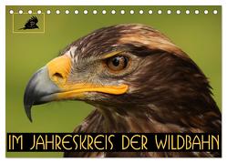 Im Jahreskreis der Wildbahn (Tischkalender 2024 DIN A5 quer), CALVENDO Monatskalender von Stamm,  Dirk