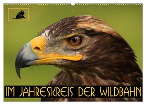 Im Jahreskreis der Wildbahn (Wandkalender 2024 DIN A2 quer), CALVENDO Monatskalender von Stamm,  Dirk