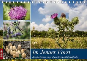 Im Jenaer Forst (Tischkalender 2019 DIN A5 quer) von Gropp,  Gerd