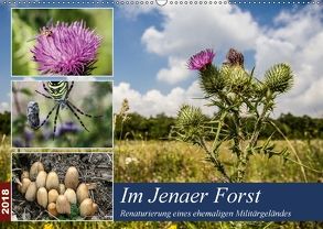 Im Jenaer Forst (Wandkalender 2018 DIN A2 quer) von Gropp,  Gerd
