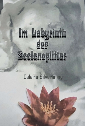 Im Labyrinth der Seelensplitter von Silverlining,  Carlaria