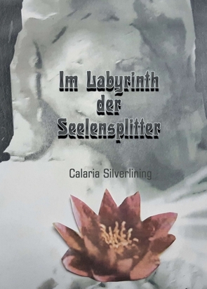Im Labyrinth der Seelensplitter von Silverlining,  Carlaria