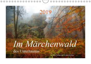 Im Märchenwald des Untertaunus (Wandkalender 2019 DIN A4 quer) von Rut Brè Designs,  Ana