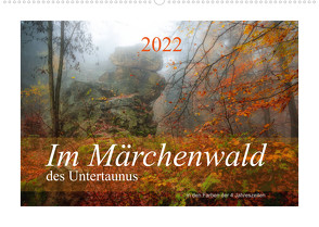 Im Märchenwald des Untertaunus (Wandkalender 2022 DIN A2 quer) von Rut Brè Designs,  Ana