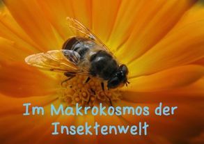 Im Makrokosmos der Insektenwelt (Tischaufsteller DIN A5 quer) von Großwendt,  Volkmar