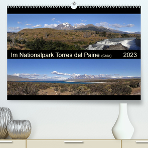 Im Nationalpark Torres del Paine (Chile) (Premium, hochwertiger DIN A2 Wandkalender 2023, Kunstdruck in Hochglanz) von Flori0