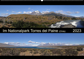 Im Nationalpark Torres del Paine (Chile) (Wandkalender 2023 DIN A2 quer) von Flori0