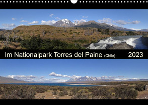 Im Nationalpark Torres del Paine (Chile) (Wandkalender 2023 DIN A3 quer) von Flori0
