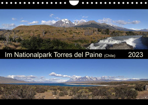 Im Nationalpark Torres del Paine (Chile) (Wandkalender 2023 DIN A4 quer) von Flori0