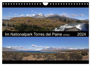 Im Nationalpark Torres del Paine (Chile) (Wandkalender 2024 DIN A4 quer), CALVENDO Monatskalender von Flori0,  Flori0