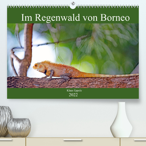 Im Regenwald von Borneo (Premium, hochwertiger DIN A2 Wandkalender 2022, Kunstdruck in Hochglanz) von Eppele,  Klaus