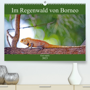 Im Regenwald von Borneo (Premium, hochwertiger DIN A2 Wandkalender 2023, Kunstdruck in Hochglanz) von Eppele,  Klaus