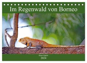 Im Regenwald von Borneo (Tischkalender 2024 DIN A5 quer), CALVENDO Monatskalender von Eppele,  Klaus