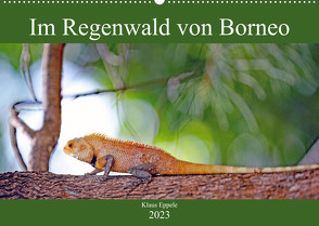 Im Regenwald von Borneo (Wandkalender 2023 DIN A2 quer) von Eppele,  Klaus
