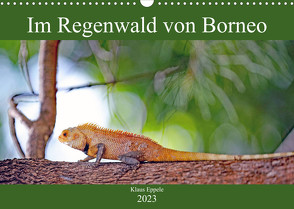 Im Regenwald von Borneo (Wandkalender 2023 DIN A3 quer) von Eppele,  Klaus