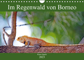 Im Regenwald von Borneo (Wandkalender 2023 DIN A4 quer) von Eppele,  Klaus