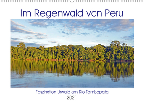 Im Regenwald von Peru, Faszination Urwald am Rio Tambopata (Wandkalender 2021 DIN A2 quer) von Senff,  Ulrich
