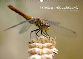 Im Reich der Libellen (Wandkalender 2018 DIN A3 quer) von Lehmann,  Heiko
