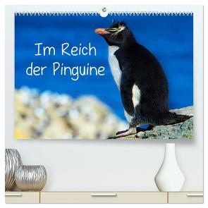 Im Reich der Pinguine (hochwertiger Premium Wandkalender 2024 DIN A2 quer), Kunstdruck in Hochglanz von Pfaff,  Hans-Gerhard