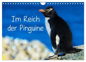 Im Reich der Pinguine (Wandkalender 2024 DIN A4 quer), CALVENDO Monatskalender von Pfaff,  Hans-Gerhard