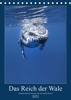 Im Reich der Wale (Tischkalender 2023 DIN A5 hoch) von Travelpixx.com