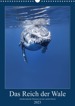 Im Reich der Wale (Wandkalender 2023 DIN A3 hoch) von Travelpixx.com