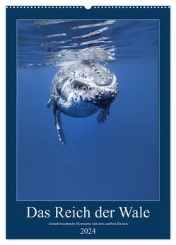 Im Reich der Wale (Wandkalender 2024 DIN A2 hoch), CALVENDO Monatskalender von Travelpixx.com,  Travelpixx.com