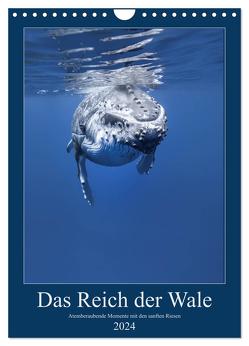 Im Reich der Wale (Wandkalender 2024 DIN A4 hoch), CALVENDO Monatskalender von Travelpixx.com,  Travelpixx.com