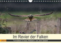 Im Revier der Falken (Wandkalender 2023 DIN A4 quer) von Siebert,  Jens