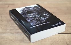 Im Schatten der Felsen-die Geschichte von Claire, Alain und der alten Dame…. von Brandt,  Daniela-Maria