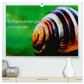 Im Schneckentempo durch das Jahr (hochwertiger Premium Wandkalender 2024 DIN A2 quer), Kunstdruck in Hochglanz von Weih,  Lydia