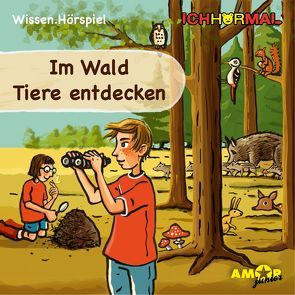 Im Wald Tiere entdecken – Wissen.Hörspiel ICHHöRMAL von Braun,  Richard, Kehn,  Regina, Petzold,  Bert Alexander