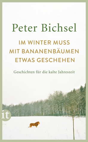 Im Winter muss mit Bananenbäumen etwas geschehen von Bichsel,  Peter, Schneider,  Adrienne