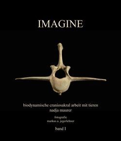 IMAGINE band 1 von Jegerlehner,  Markus A., Maurer,  Nadja