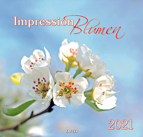 Impression Blumen 2022