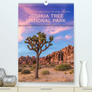 Impressionen aus dem JOSHUA TREE NATIONAL PARK (Premium, hochwertiger DIN A2 Wandkalender 2023, Kunstdruck in Hochglanz) von Viola,  Melanie
