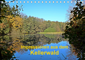 Impressionen aus dem Kellerwald (Tischkalender 2020 DIN A5 quer) von Busch,  Eva