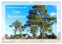Impressionen aus dem Tister Bauernmoor (Wandkalender 2024 DIN A3 quer), CALVENDO Monatskalender von Hampe,  Gabi