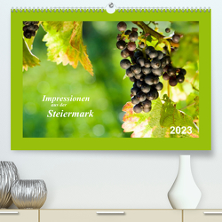 Impressionen aus der Steiermark (Premium, hochwertiger DIN A2 Wandkalender 2023, Kunstdruck in Hochglanz) von Dzierzawa (DoraZett),  Judith