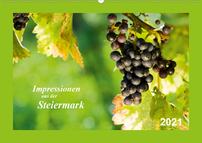 Impressionen aus der Steiermark (Wandkalender 2021 DIN A2 quer) von Dzierzawa (DoraZett),  Judith