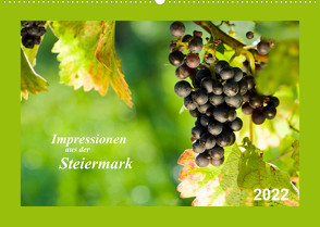 Impressionen aus der Steiermark (Wandkalender 2022 DIN A2 quer) von Dzierzawa (DoraZett),  Judith